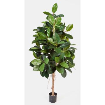 Caoutchouc synthétique DEVI, tronc naturel, vert, 210cm