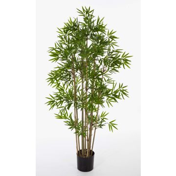 Bambou artificiel YAN, tiges de bambou naturelles, vert, 110cm Bambou artificiel YAN, tiges de bambou naturelles, vert, 110cm