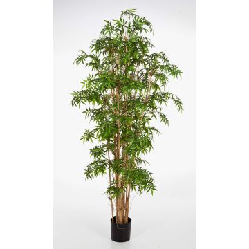 Faux bambou KAITO, vrais troncs, vert, 200cm