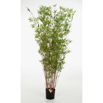 Bambou artificiel DAYA, troncs naturels, vert, 190cm Bambou artificiel DAYA, troncs naturels, vert, 190cm
