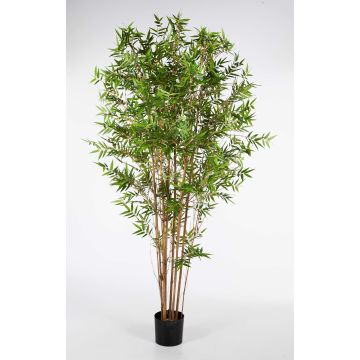 Plante artificielle bambou KANAYO, vrais troncs, vert, 150cm