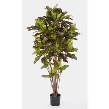 Faux croton BEQA, vrais troncs, multicolore, 180cm