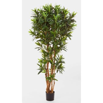Longifolia en plastique MIKE, vrais troncs, vert, 180cm