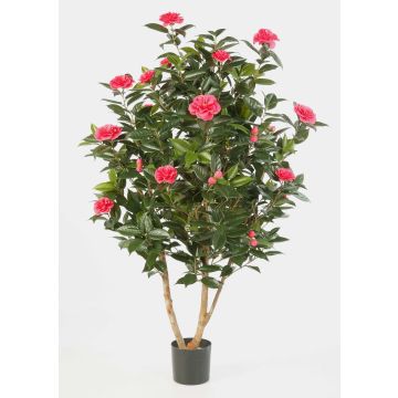 Faux camélia Japonica KAORI, vrais troncs, fleurs, fuchsia, 150cm