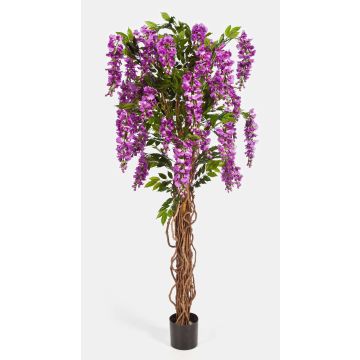 Fausse glycine ARIANA, vrais troncs, fleurs, lilas, 180cm