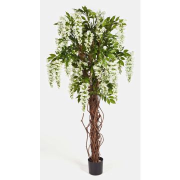 Fausse glycine ARIANA, vrais troncs, fleurs, blanc, 180cm