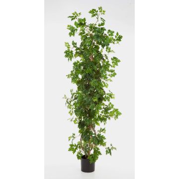 Pied de vigne artificiel NIKA, troncs naturels, vert, 130cm Pied de vigne artificiel NIKA, troncs naturels, vert, 130cm