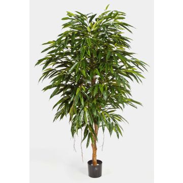 Faux longifolia HISA, tronc naturel, vert, 180cm