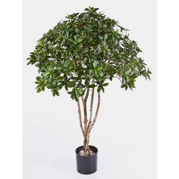Faux euonymus japonicus RIKU, vrais troncs, vert-blanc, 120cm, Ø100cm