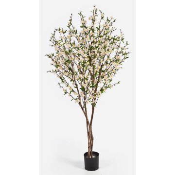 Cerisier artificiel ZADAR, vrais troncs, fleurs, blanc, 140cm