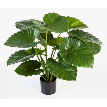 Faux Alocasia Calidora SALONI, vert, 75cm