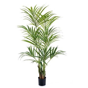 Palmier Kentia synthétique OMAYRA, 200cm