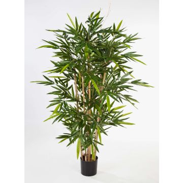 Faux bambou TARIK, vrais troncs, diff. inflammable, vert, 210cm Faux bambou TARIK, vrais troncs, diff. inflammable, vert, 210cm