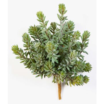 Sedum artificiel OLAVI sur piquet, vert, 20cm Sedum artificiel OLAVI sur piquet, vert, 20cm