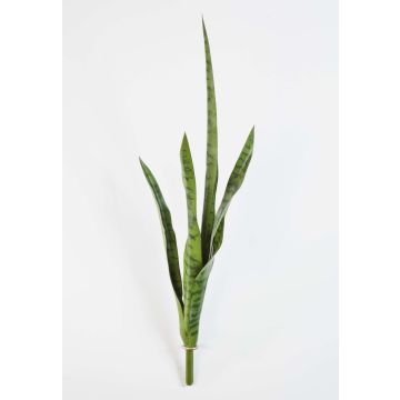 Sansevieria artificiel ESRA, sur piquet, vert, 80cm Sansevieria artificiel ESRA, sur piquet, vert, 80cm