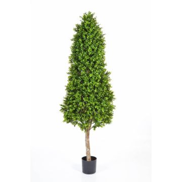 Pyramide de buis artificiel TOM, tronc naturel, vert, 170cm Pyramide de buis artificiel TOM, tronc naturel, vert, 170cm