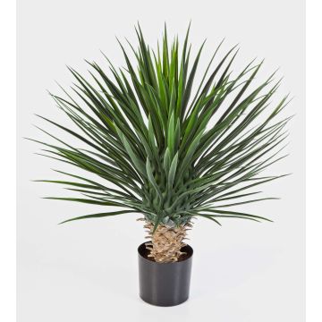 Faux Yucca Rostrata RAFFAELA, 80cm