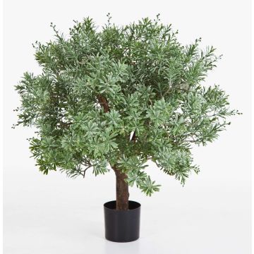 Plante artificielle Crossostephium KATANA, vrai tronc, vert, 70cm Plante artificielle Crossostephium KATANA, vrai tronc, vert, 70cm