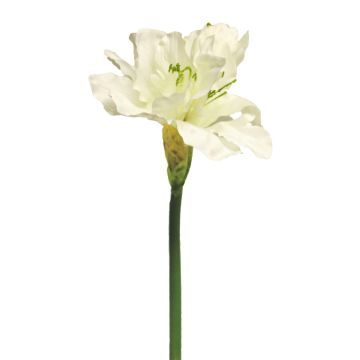 Fleur artificielle Amaryllis HEJIA, crème, 60cm