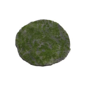Tapis rond en mousse de feuillage artificiel FANGYU, vert, Ø30cm