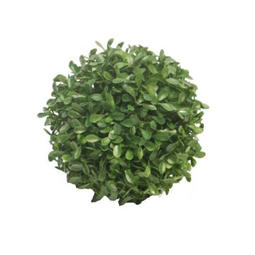 Buis artificiel FRITZ, grille plastique, crossdoor, Ø13cm Buis artificiel FRITZ, grille plastique, crossdoor, Ø13cm