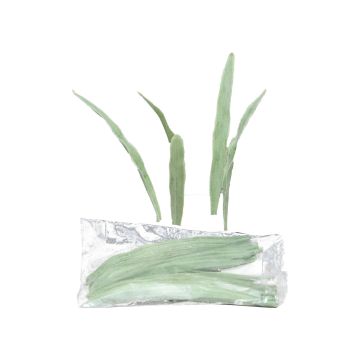 Brins de roseau artificiels YAMIAN, 36 pièces, vert-blanc, 15cm