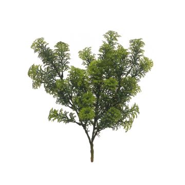 Plante aquatique décorative Limnophila sessiliflora NAYANA, piquet, vert, 35cm