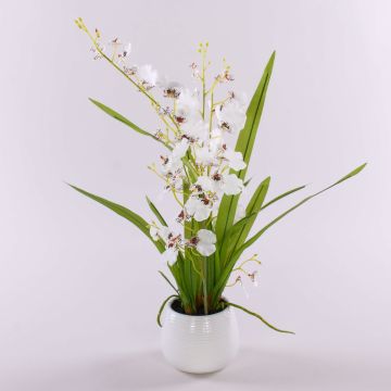 Cymbidium artificiel SHANIA, pot en céramique, blanc-brun, 50cm, Ø3-4cm Cymbidium artificiel SHANIA, pot en céramique, blanc-brun, 50cm, Ø3-4cm