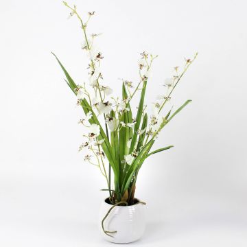 Cymbidium artificiel SHANIA, pot en céramique, blanc-brun, 50cm, Ø3-4cm Cymbidium artificiel SHANIA, pot en céramique, blanc-brun, 50cm, Ø3-4cm