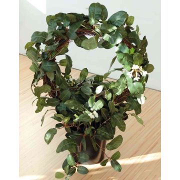 Jasmin de Madagascar artificiel SERRA, blanc, 65cm, Ø50cm