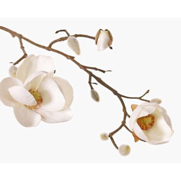 Magnolia en tissu KOSTAS, crème, 55cm, Ø5-8cm