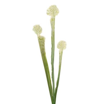 Succulente artificielle Sarracenia SIMANA sur tige, blanc-vert, 65 cm