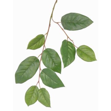 Branche de pommier artificielle KONSTANTIN, vert, 75cm Branche de pommier artificielle KONSTANTIN, vert, 75cm