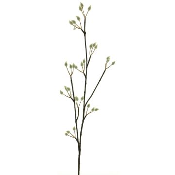 Branche décorative de saule à chatons NAYONG avec fleurs, crème, 80cm