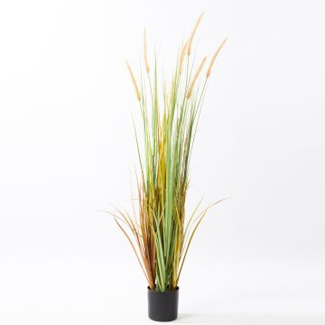 Faux Pennisetum LYONEL avec panicules, pot décoratif, vert-brun, 120cm