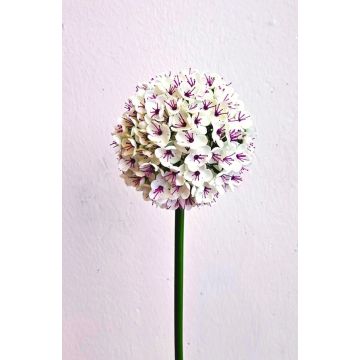 Allium artificiel LOKJAN, blanc-violet, 70 cm