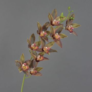 Tige d'orchidée Cymbidium artificielle YAMEI, rouge foncé-vert, 80cm Tige d'orchidée Cymbidium artificielle YAMEI, rouge foncé-vert, 80cm