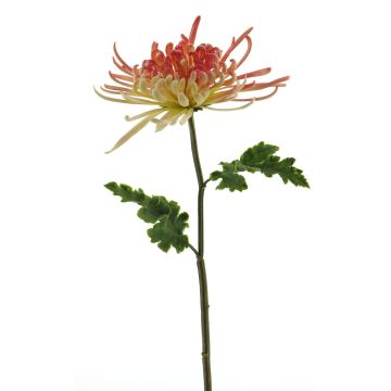 Fleur décorative Chrysanthème YASULI, fuchsia-jaune, 70cm Fleur décorative Chrysanthème YASULI, fuchsia-jaune, 70cm