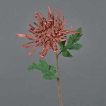 Fleur décorative chrysanthème YASULI, rouge bourgogne, 70cm Fleur décorative chrysanthème YASULI, rouge bourgogne, 70cm