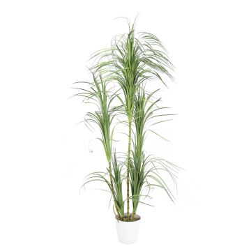 Dracaena artificiel DINARA, faux troncs, pot déco, vert, 215cm