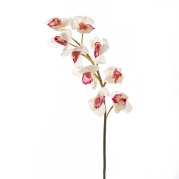 Tige d'orchidée Cymbidium artificielle OKSANA, blanc-fuchsia, 80cm, Ø6,5cm Tige d'orchidée Cymbidium artificielle OKSANA, blanc-fuchsia, 80cm, Ø6,5cm