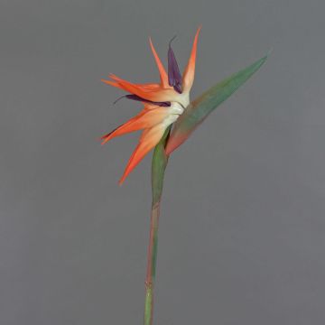 Strelitzia en plastique ZAMIRA, orange-violet, 95cm, 16x30cm