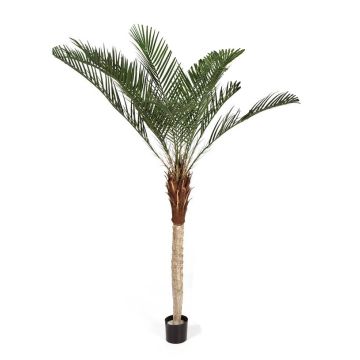 Faux palmier Phoenix ELITON, 240cm Faux palmier Phoenix ELITON, 240cm