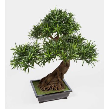 Faux bonsaï podocarpus MASAO, racines, coupe céramique, 85cm