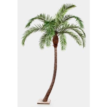 Palmier Phoenix artificiel HARPER, 390cm Palmier Phoenix artificiel HARPER, 390cm