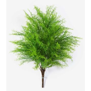 Asparagus plumosus artificiel SUSANNA, sur piquet, 60cm, Ø48cm