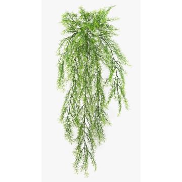 Suspension Asparagus plumosus artificiel ILES, sur piquet, 75cm