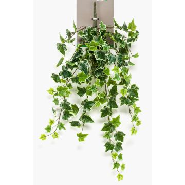 Lierre tombant artificiel MAJA, piquet, vert-blanc, 70cm