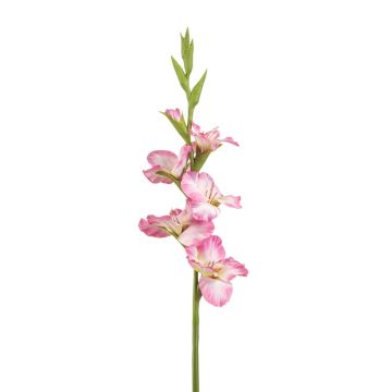 Glaïeul artificiel KIVANA, rose-blanc, 90cm