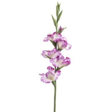 Glaïeul artificiel KIVANA, lilas-blanc, 90cm